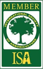 ISA member