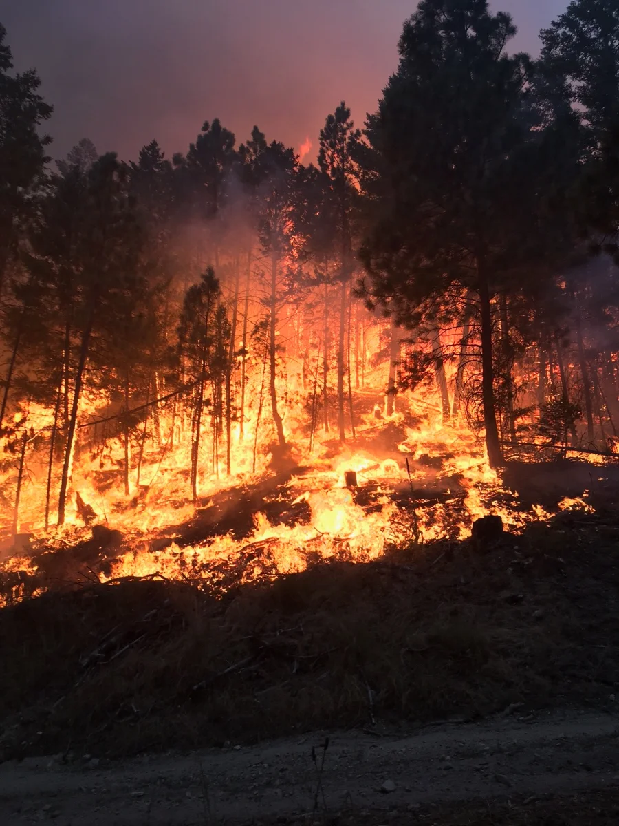 Answering the fire