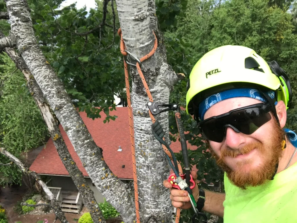 Mike&rsquo;s Tree Company