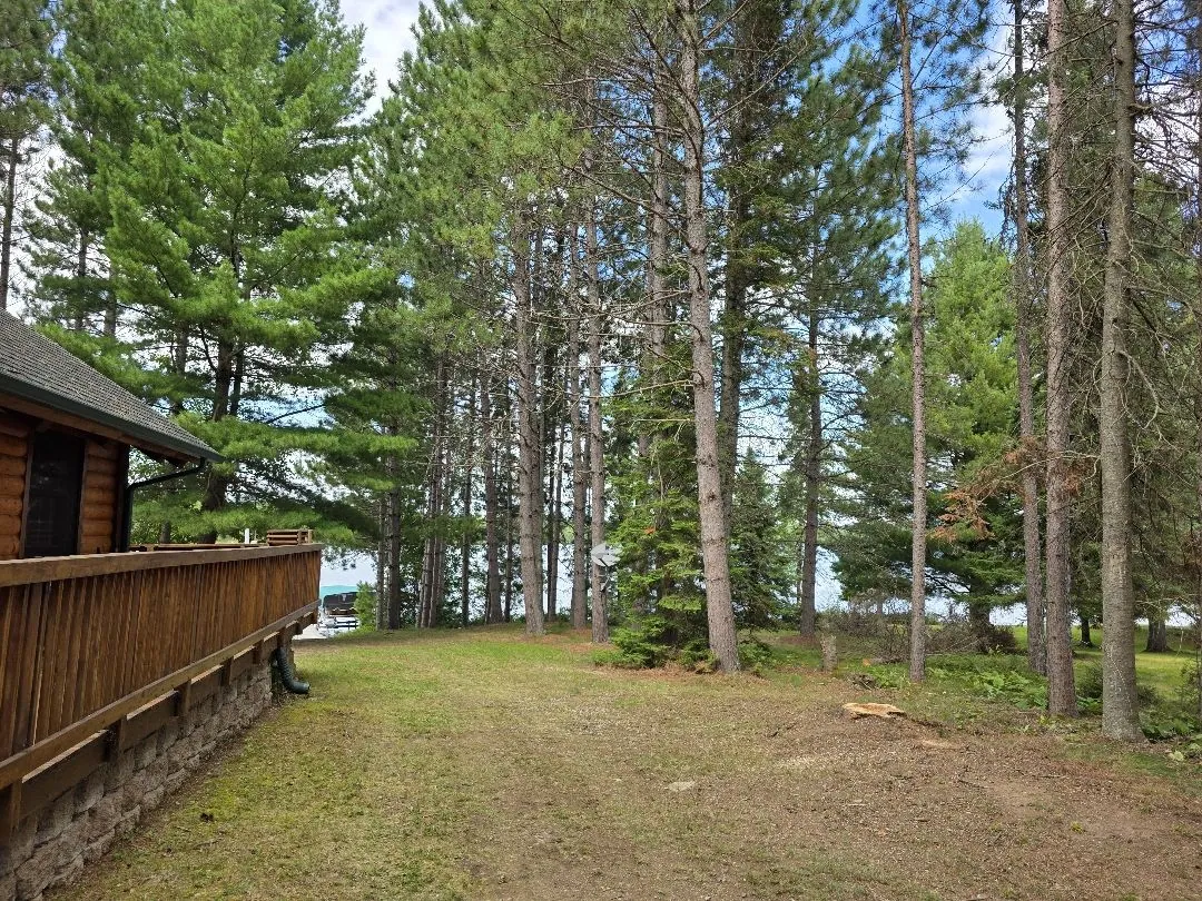 Cabin Protection: Tree Removal & Clearance Pruning