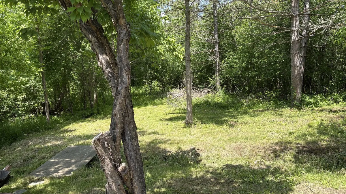 Multiple Tree Removal and Firepit Stools