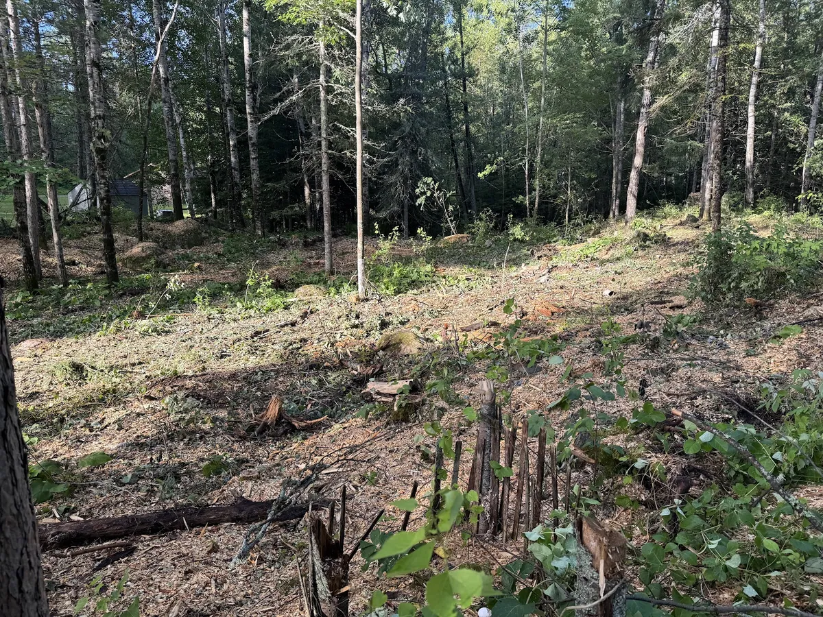 Wildfire Protection in Ely